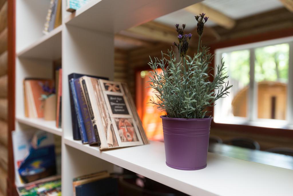 Belaya Dacha Apartment 고멜 외부 사진